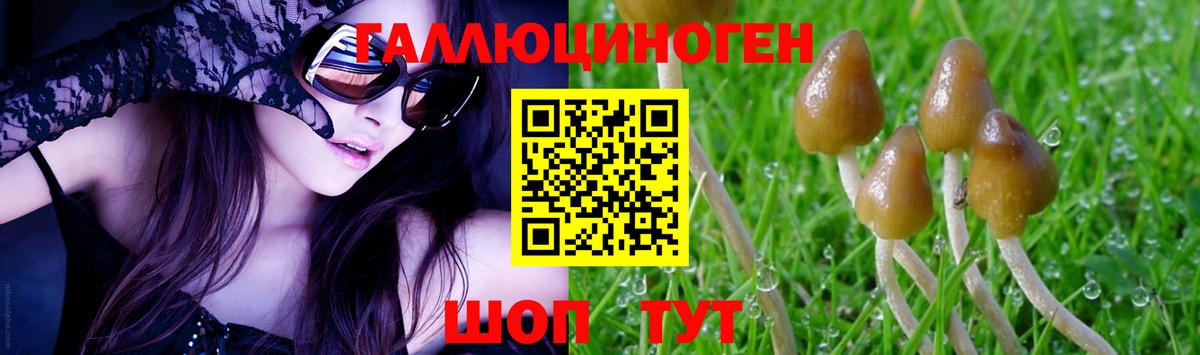 Еманжелинск  Псилоцибиновые грибы мицелий  Вход с VPN 